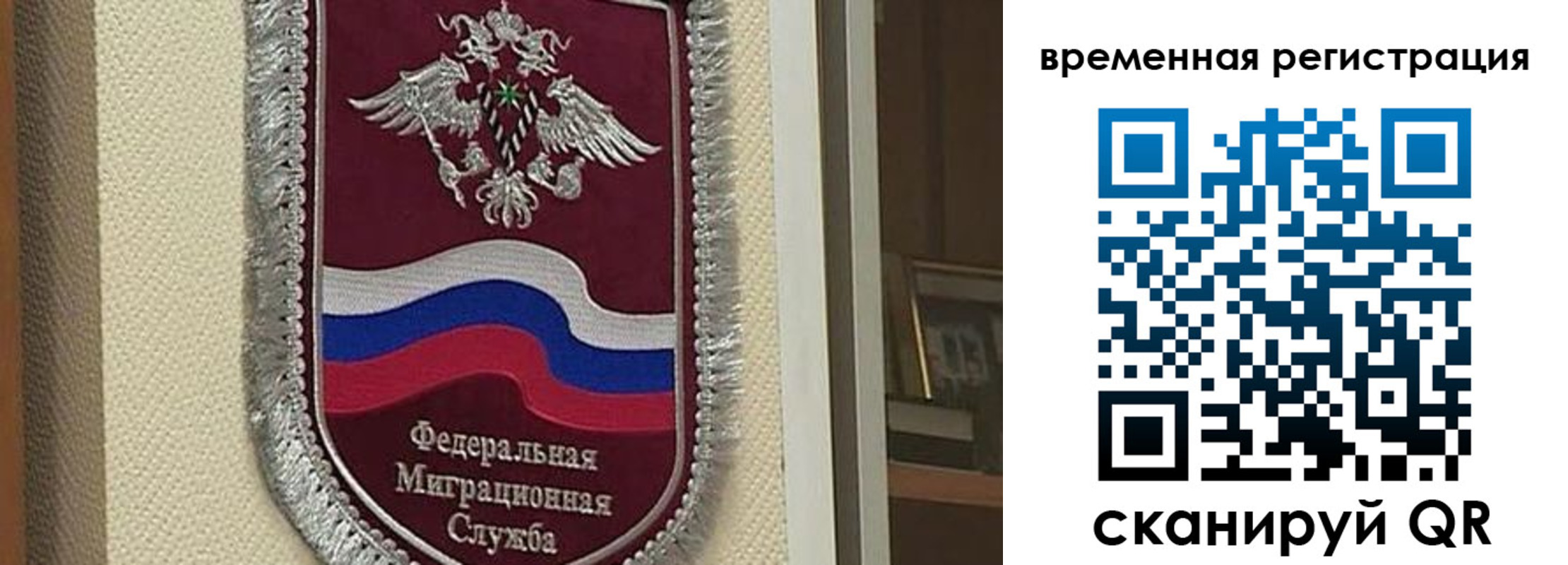 прописка законно в Электрогорске